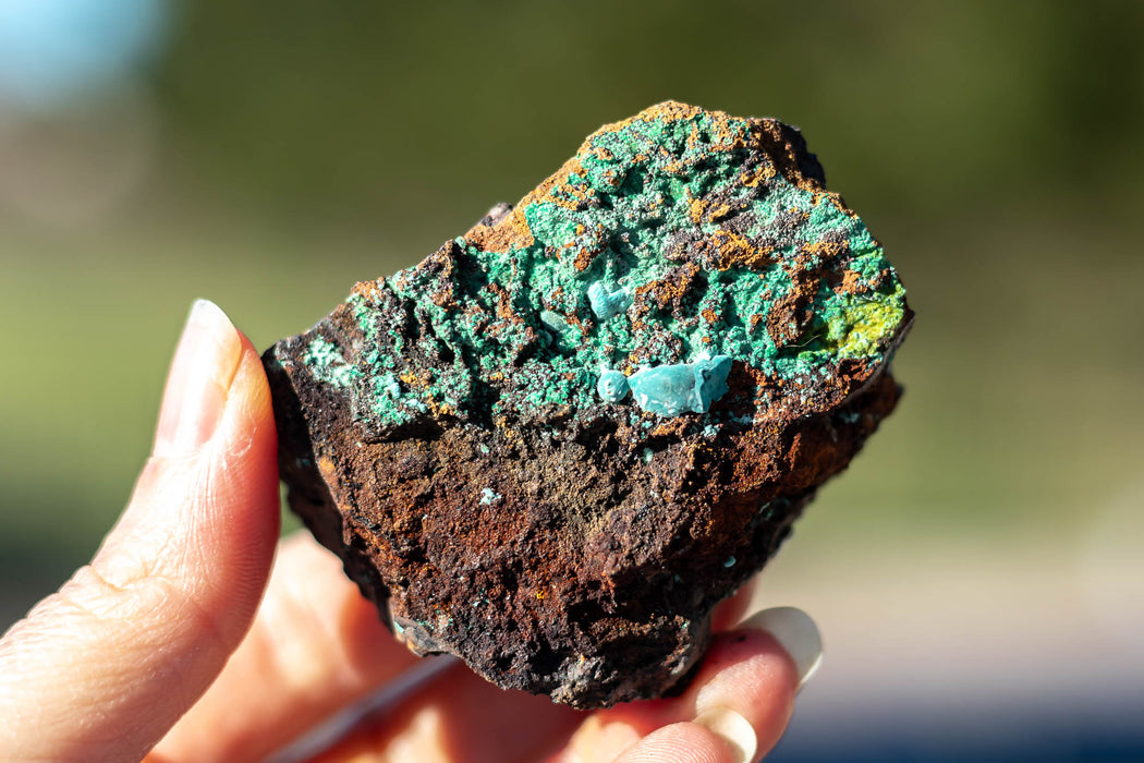Mixed Mineral Specimen from Mexico | Aurichacite | Conichalcite