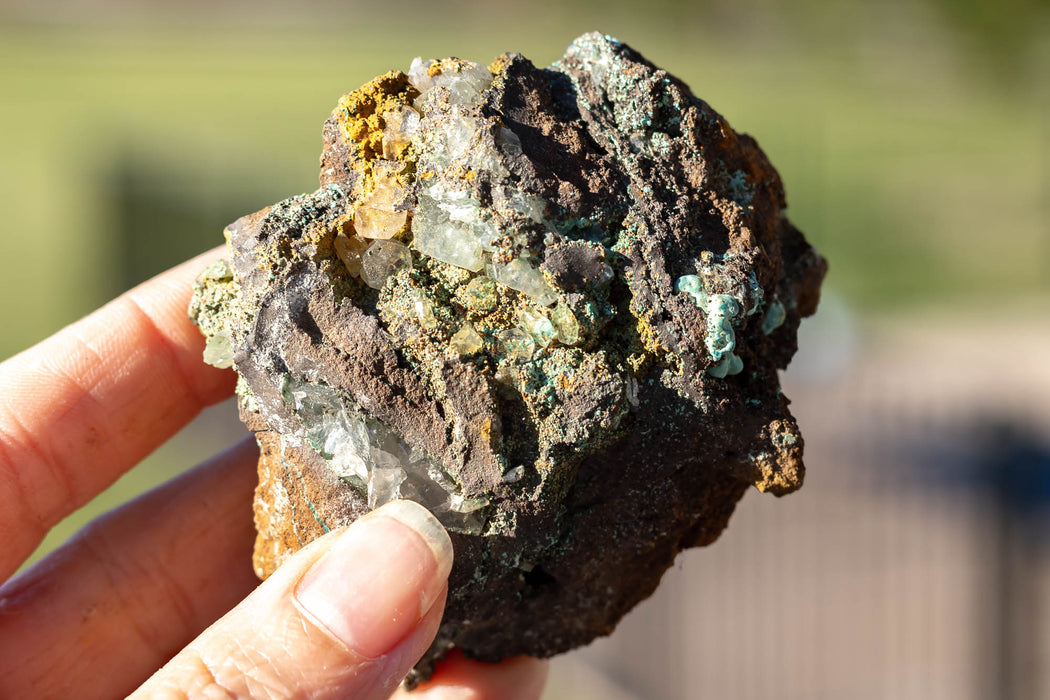 Mixed Mexican Mineral Specimen | Aurichalcite | Calcite