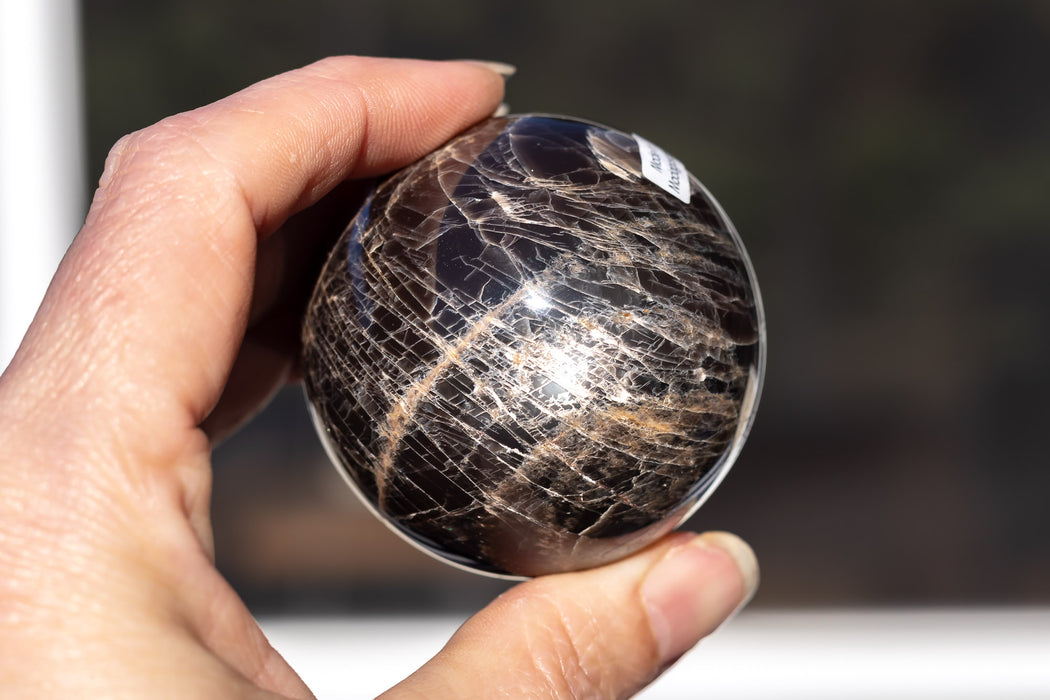 Black Moonstone Sphere with Flash | Grade A Black Moonstone Spheres