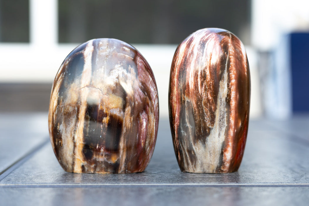 High Quality Petrified Wood Free From with Druzy | Petrified Wood Freeform with Druzy | YOU CHOOSE