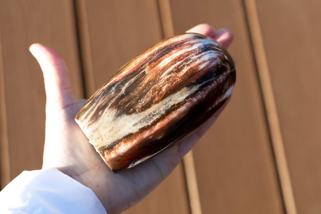 High Quality Petrified Wood Free From with Druzy | Petrified Wood Freeform with Druzy | YOU CHOOSE